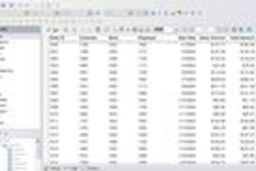 Data Dynamics Reports预览：